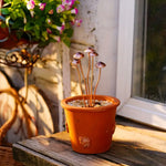 Rustic Copper Mushroom Ornament