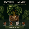 Anthurium Potting Mix