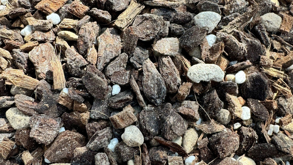 Choosing the Right Mix for Tropical Plants
