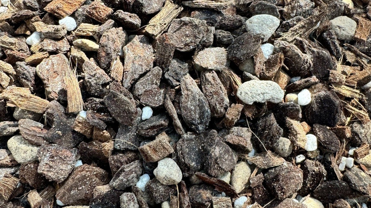 Choosing the Right Mix for Tropical Plants