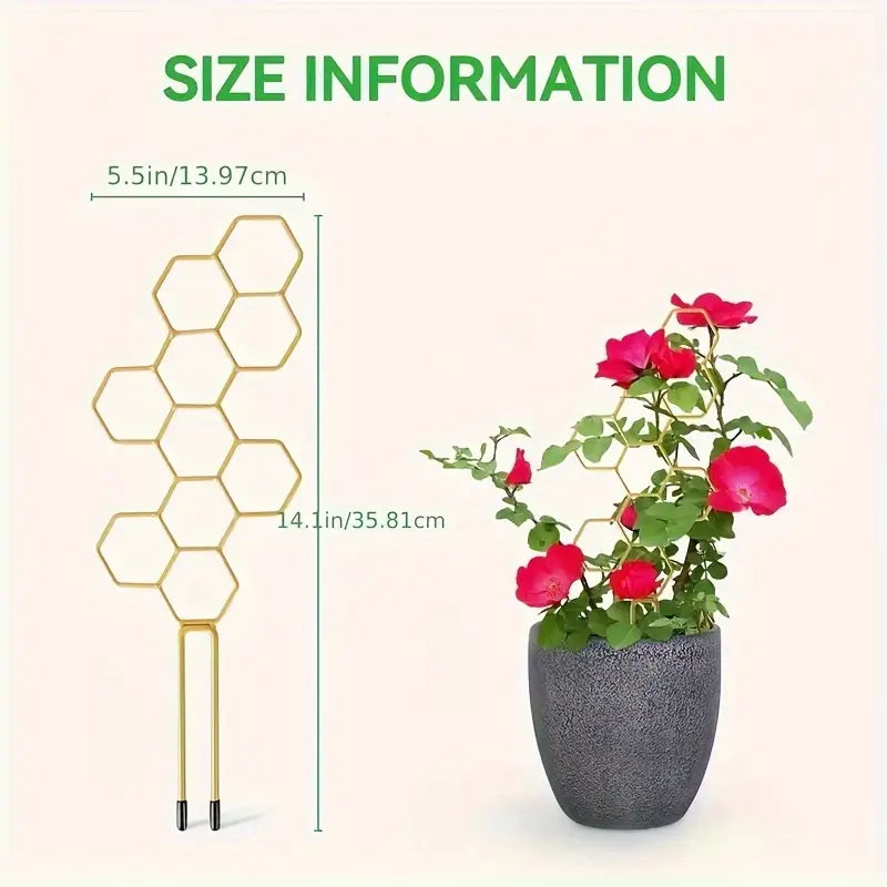 Metal Hexagon Plant Climbing Trellis