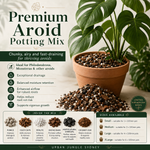 Premium Aroid Potting Mix