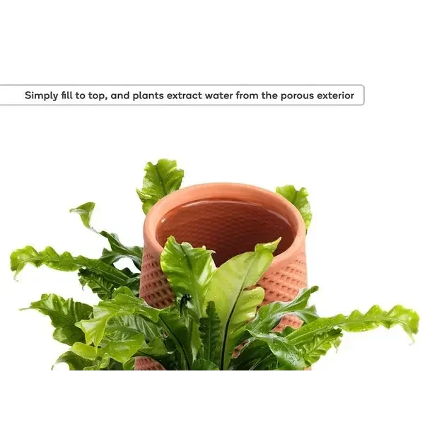 Certa Self-Watering Terracotta Ceramic Planter