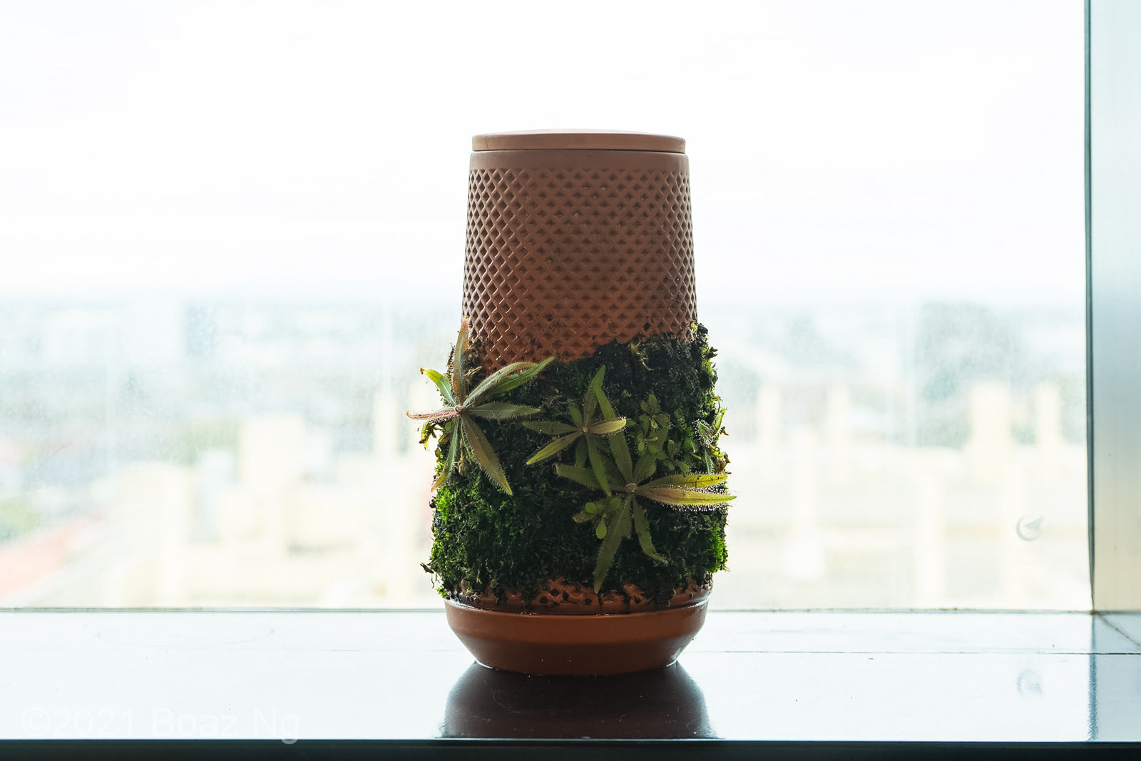 Certa Self-Watering Terracotta Ceramic Planter