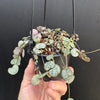 String Of Hearts