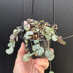 String Of Hearts