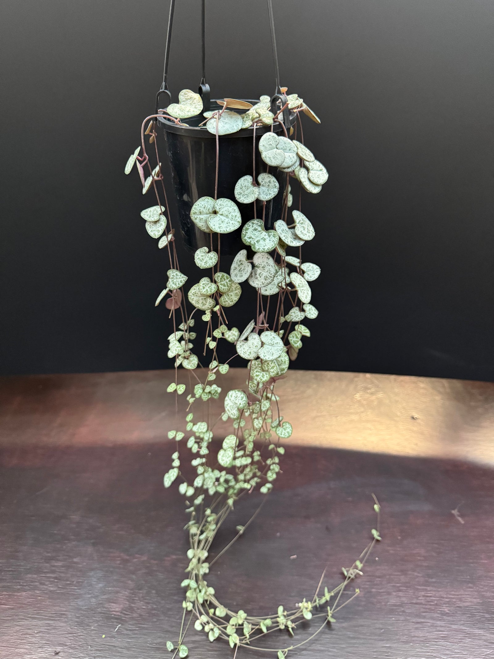 String Of Hearts