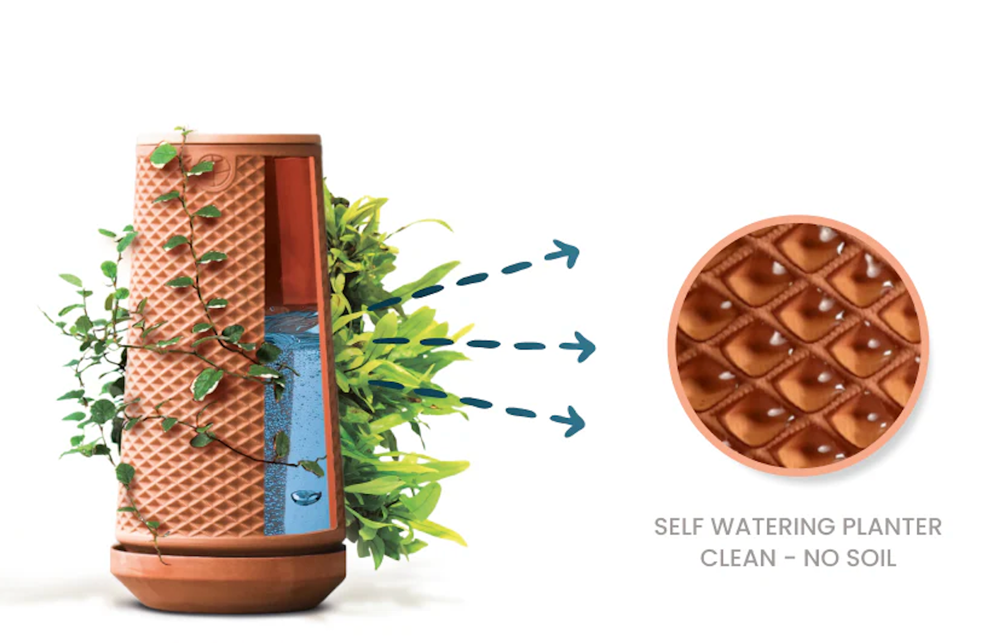 Tevaplanter — Self-Watering, Soil-Free Ceramic Planter