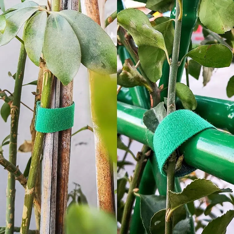 Plant Ties