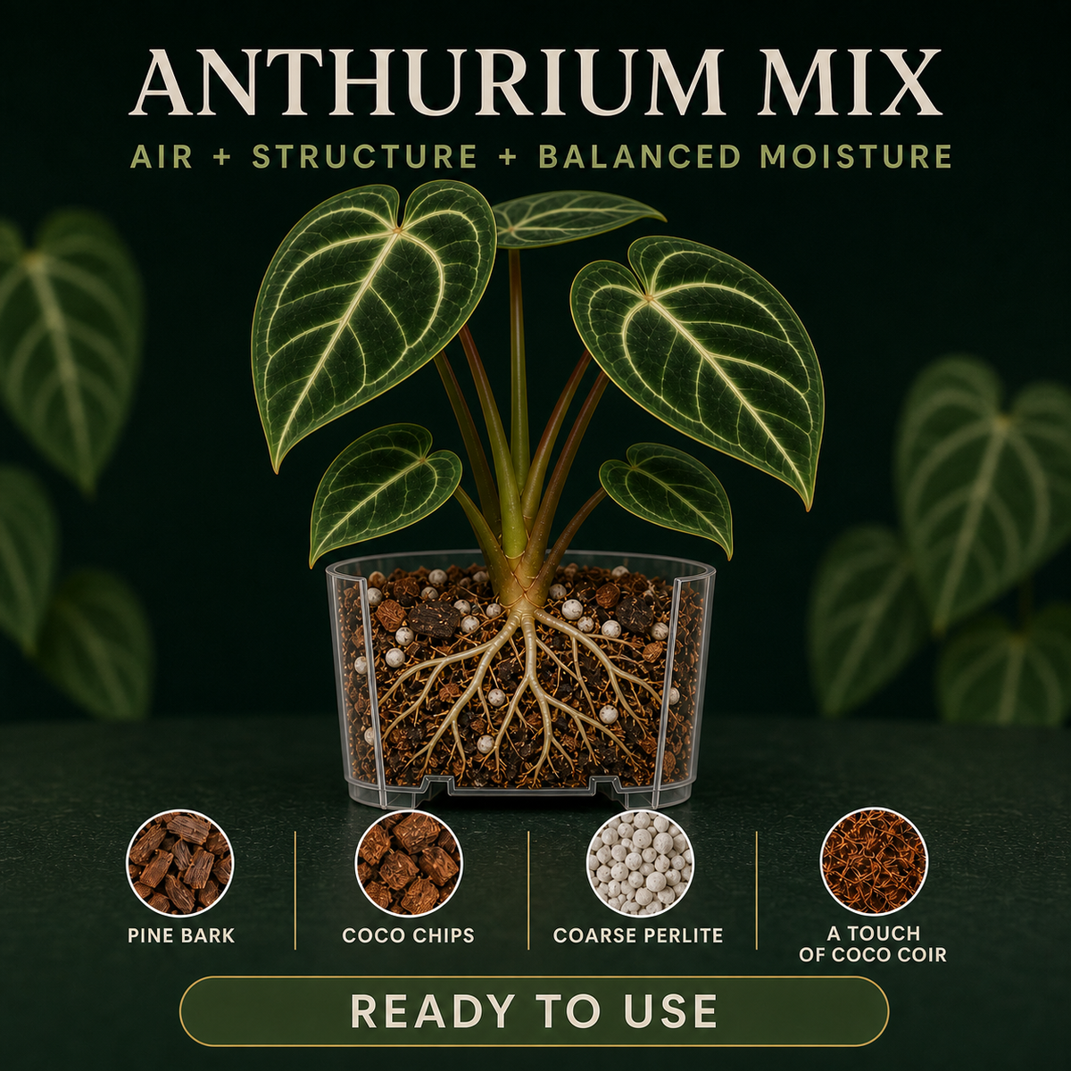 Anthurium Potting Mix