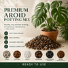 Premium Aroid Potting Mix