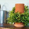 Tevaplanter — Self-Watering, Soil-Free Ceramic Planter