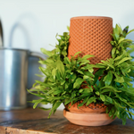 Tevaplanter — Self-Watering, Soil-Free Ceramic Planter