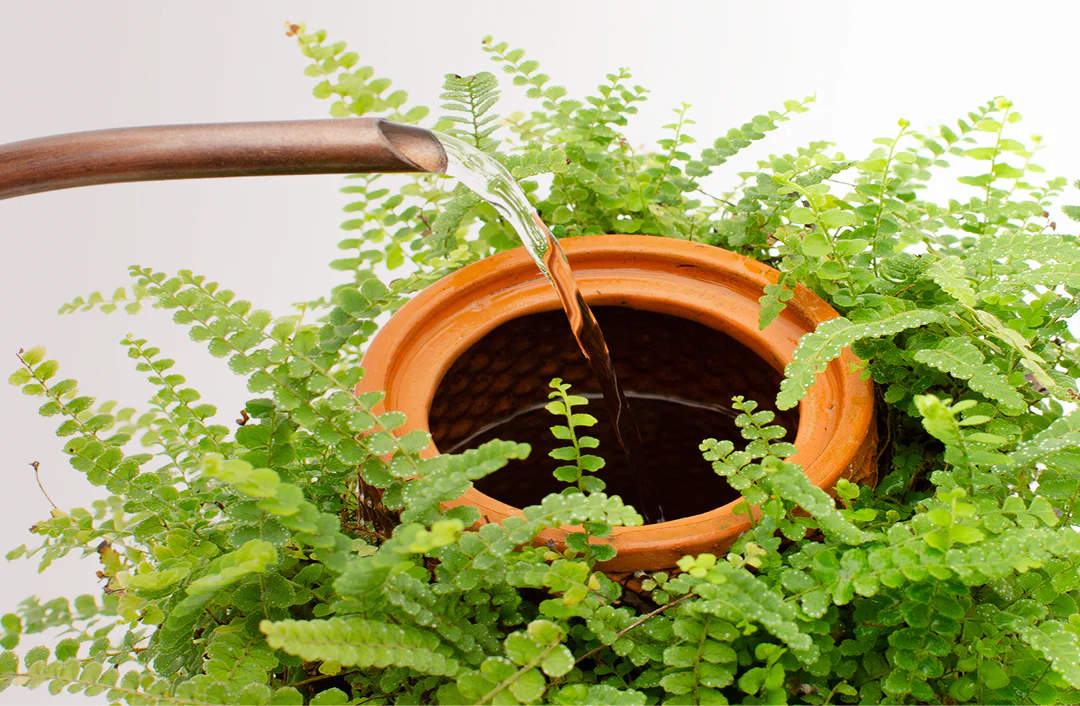 Tevaplanter — Self-Watering, Soil-Free Ceramic Planter