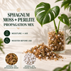 Sphagnum Propagation Mix