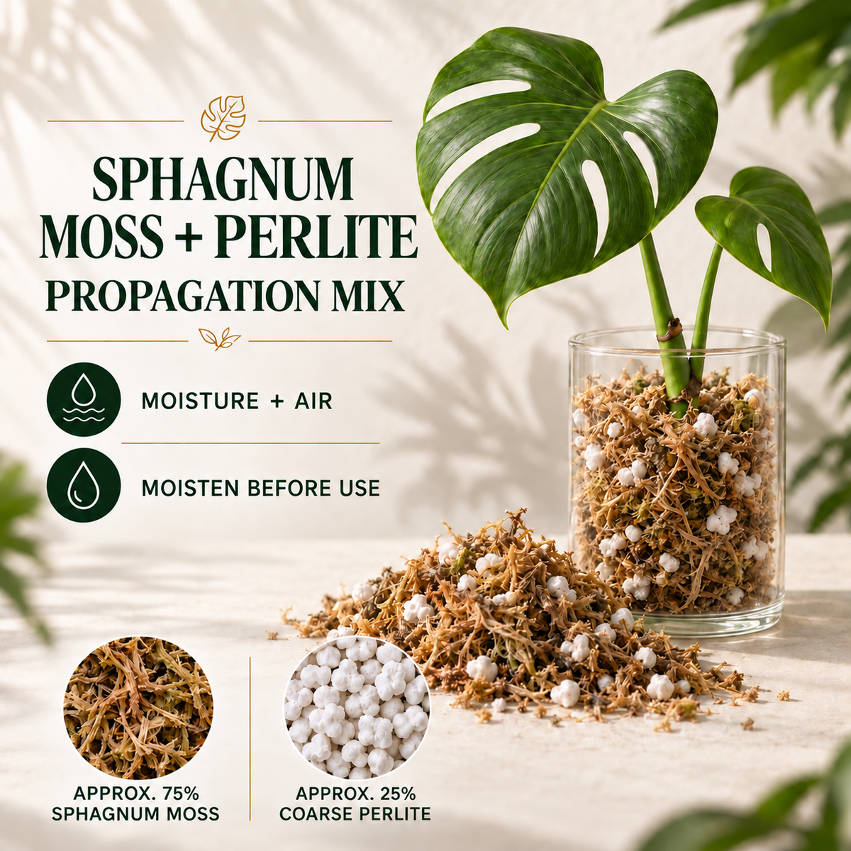 Sphagnum Propagation Mix