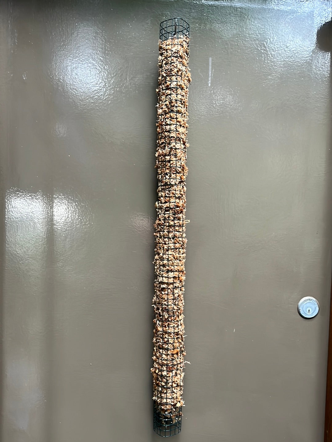 Moss pole made with mesh and sphagnum moss.